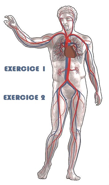 Exercice1 2